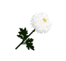 화환 보내기